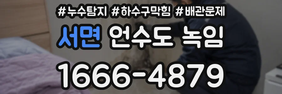 서면 언수도 녹임