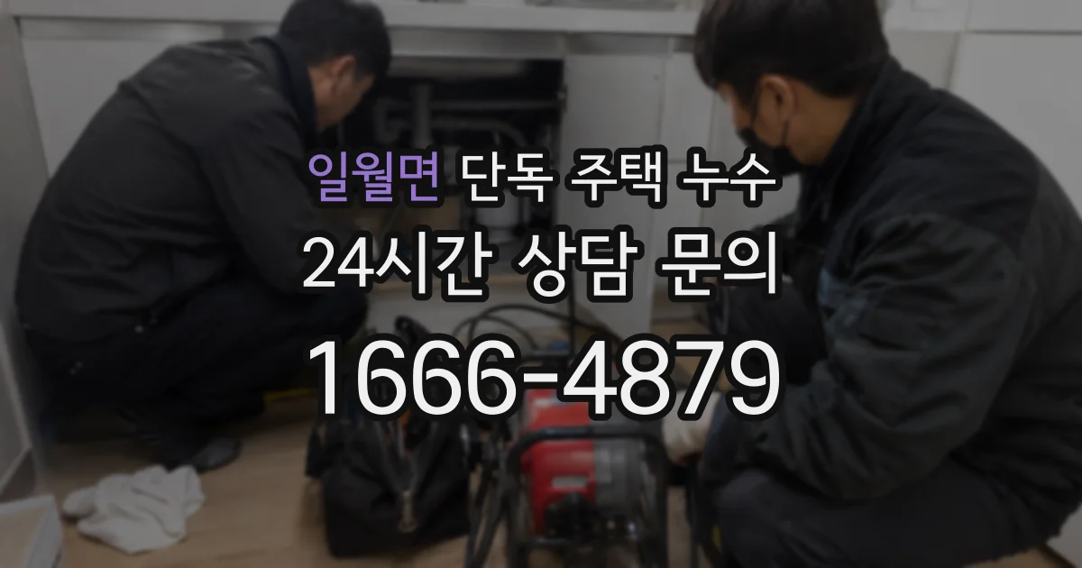 일월면 단독 주택 누수