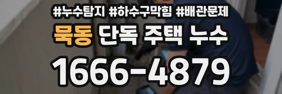 묵동 단독 주택 누수