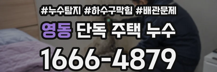 영동 단독 주택 누수