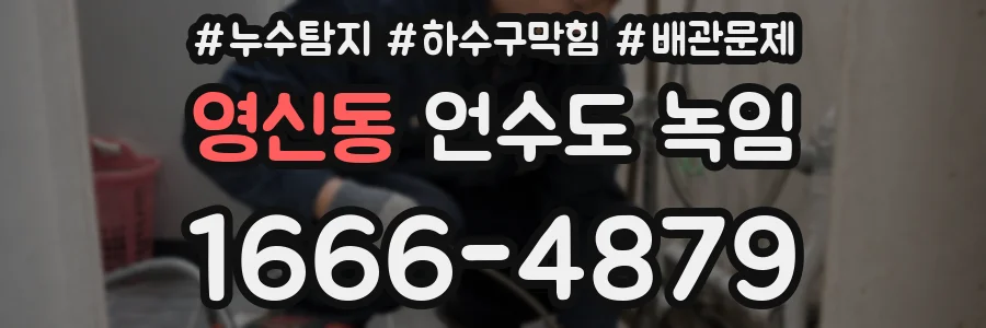 영신동 언수도 녹임