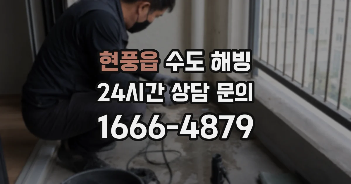현풍읍 수도 해빙