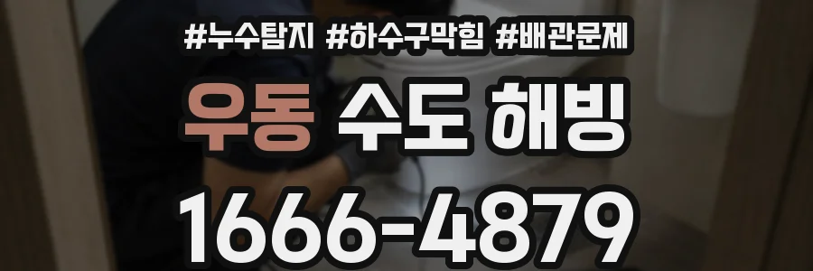 우동 수도 해빙