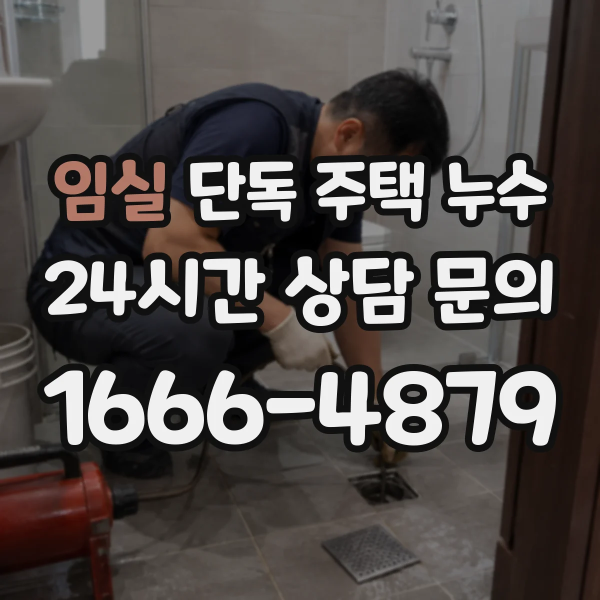 임실 단독 주택 누수 지하 공간 습기와 실제 누수를 구분하는 포인트