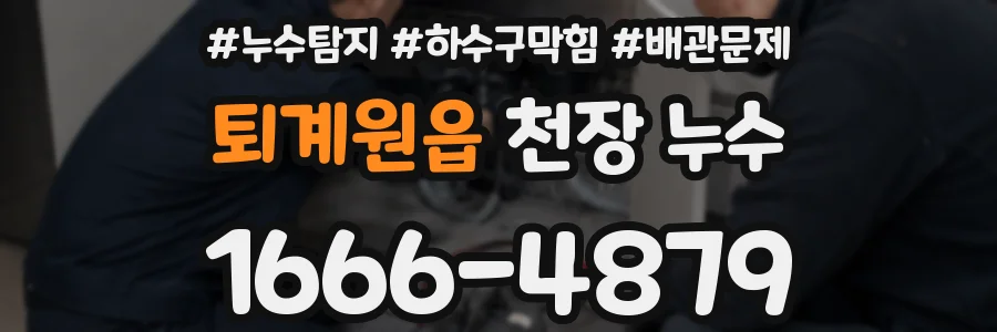 퇴계원읍 천장 누수