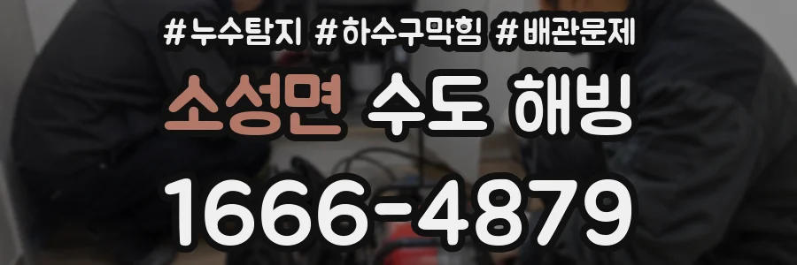 소성면 수도 해빙