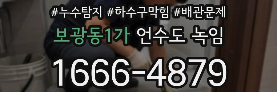 보광동1가 언수도 녹임