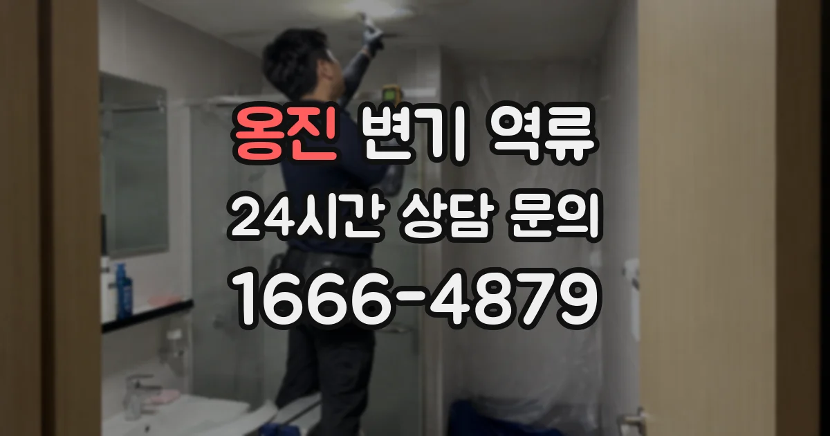 옹진 변기 역류