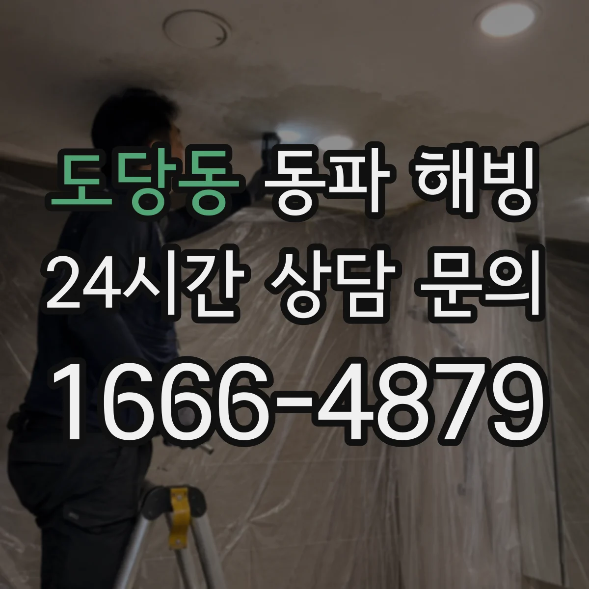 도당동 동파 해빙