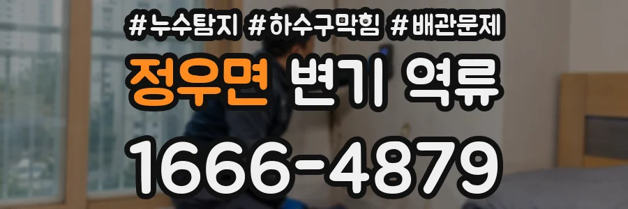 정우면 변기 역류