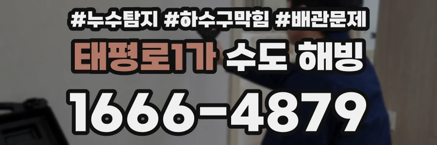 태평로1가 수도 해빙