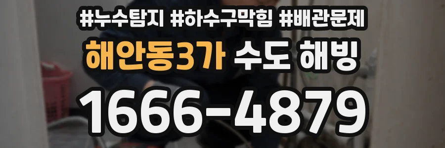해안동3가 수도 해빙