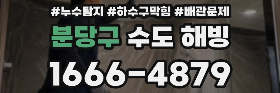 분당구 수도 해빙
