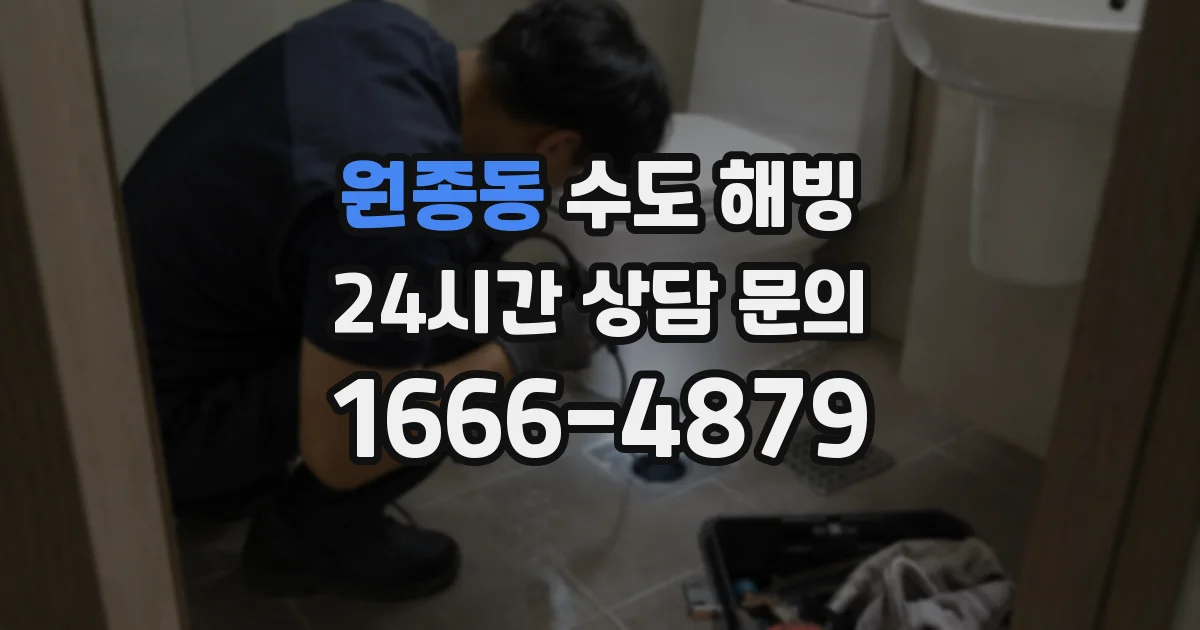 원종동 수도 해빙