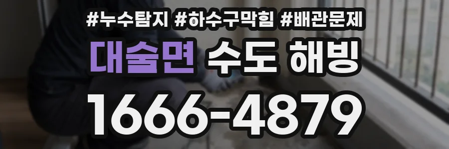 대술면 수도 해빙