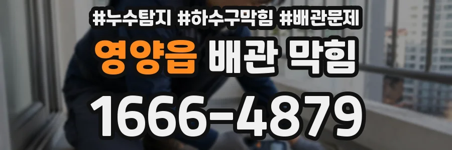 영양읍 배관 막힘
