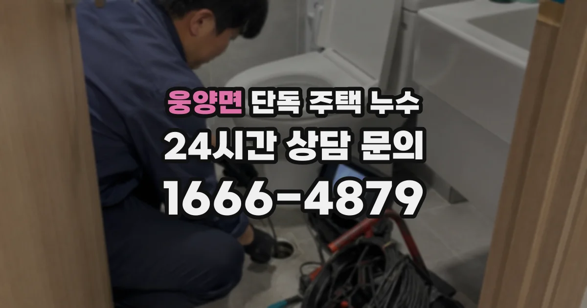 웅양면 단독 주택 누수