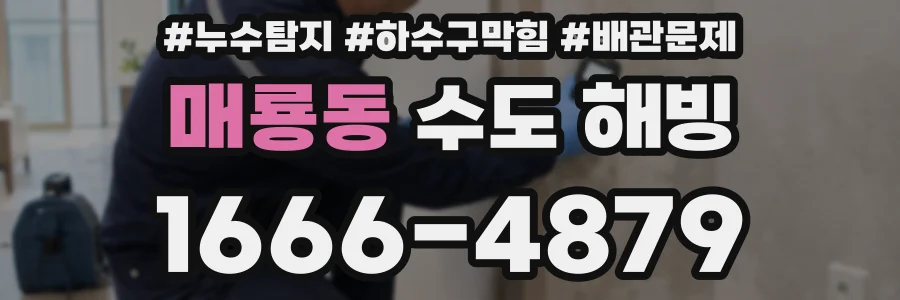 매룡동 수도 해빙