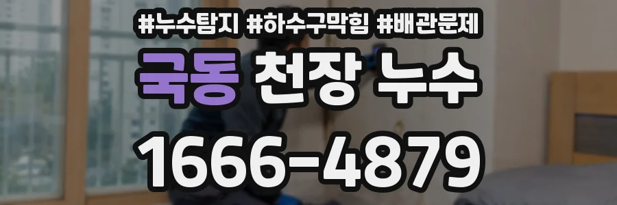 국동 천장 누수