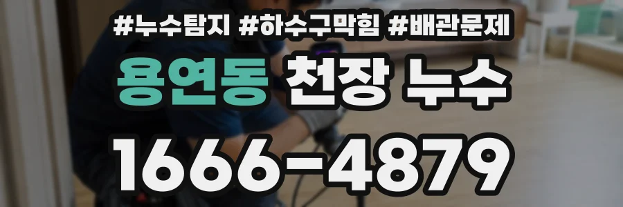 용연동 천장 누수