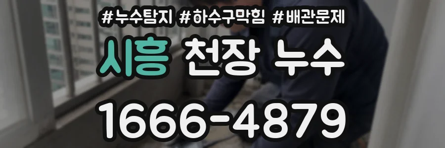 시흥 천장 누수