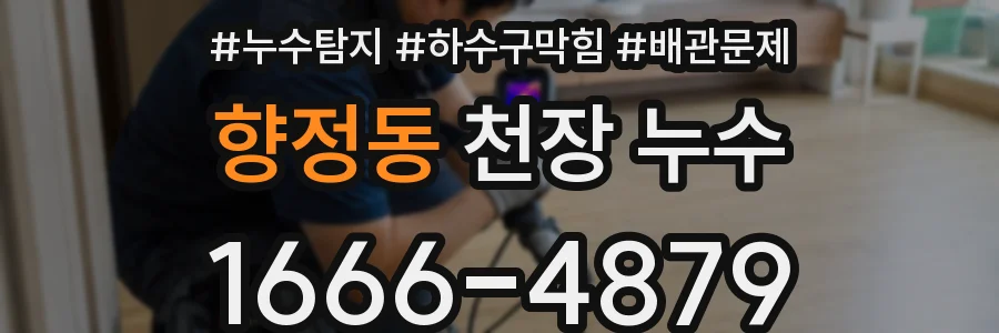 향정동 천장 누수