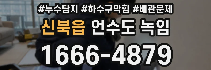 신북읍 언수도 녹임