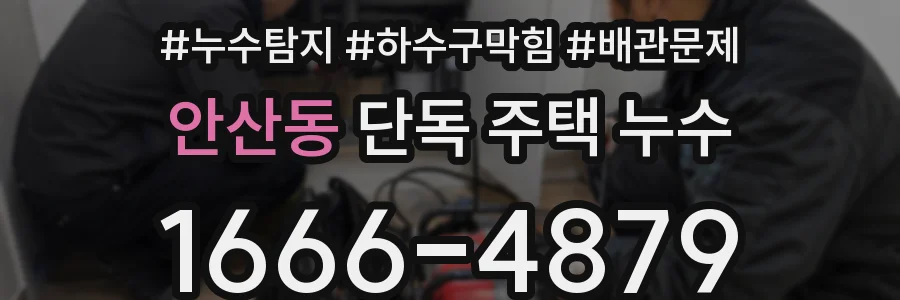 안산동 단독 주택 누수