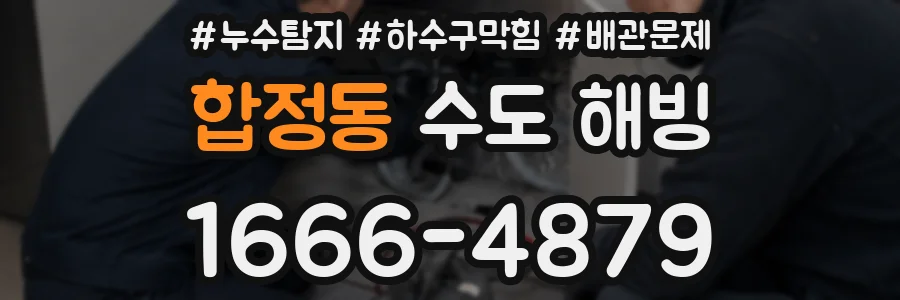 합정동 수도 해빙