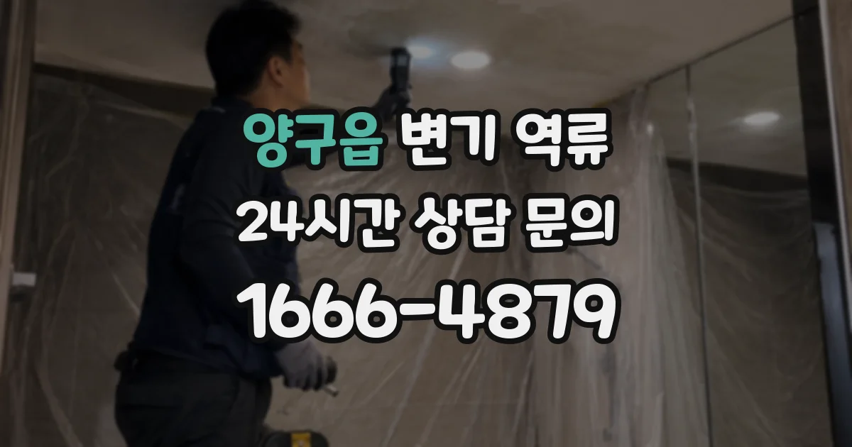 양구읍 변기 역류