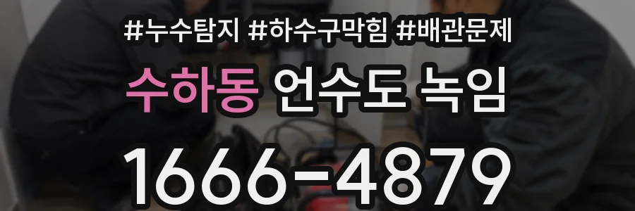 수하동 언수도 녹임