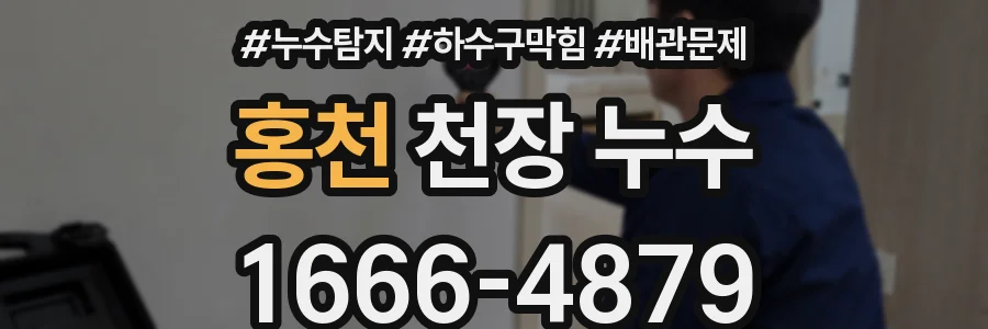 홍천 천장 누수