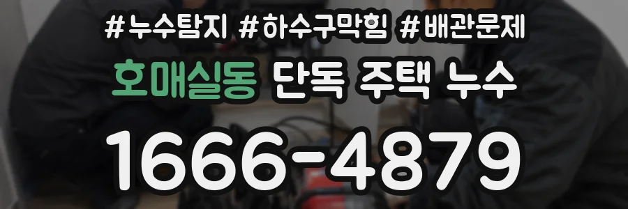 호매실동 단독 주택 누수