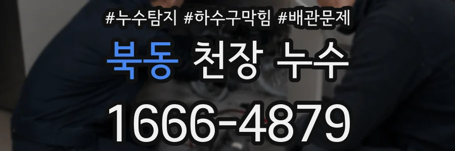 북동 천장 누수
