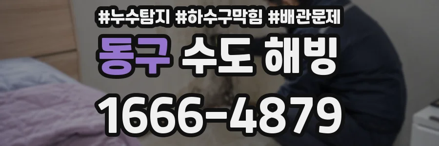 동구 수도 해빙
