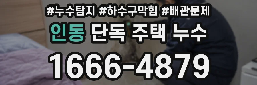 인동 단독 주택 누수