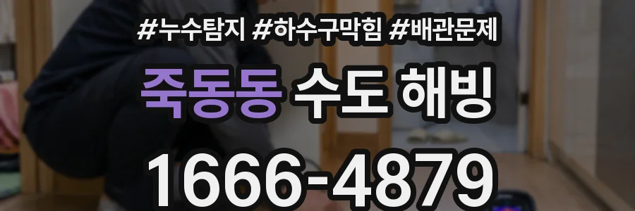 죽동동 수도 해빙