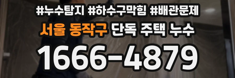 서울 동작구 단독 주택 누수