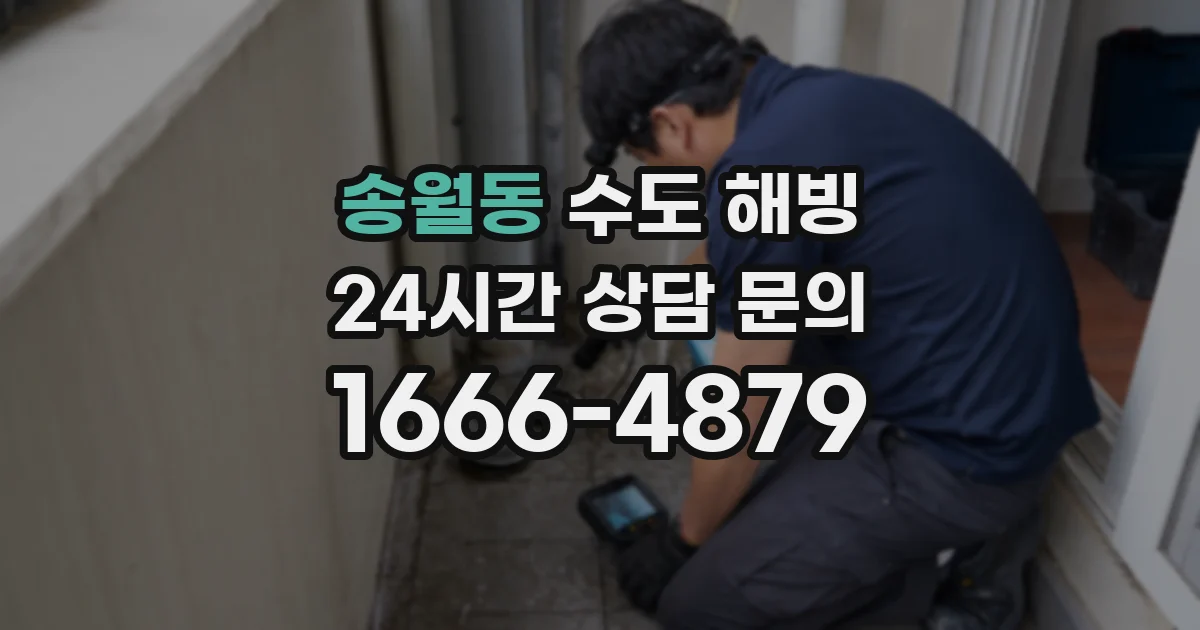 송월동 수도 해빙
