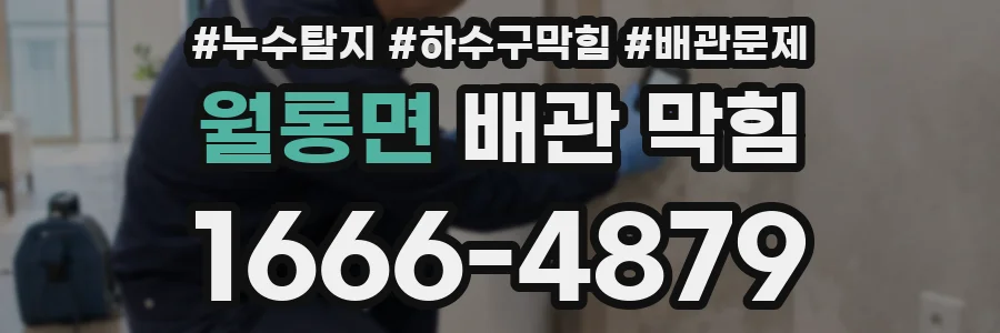 월롱면 배관 막힘