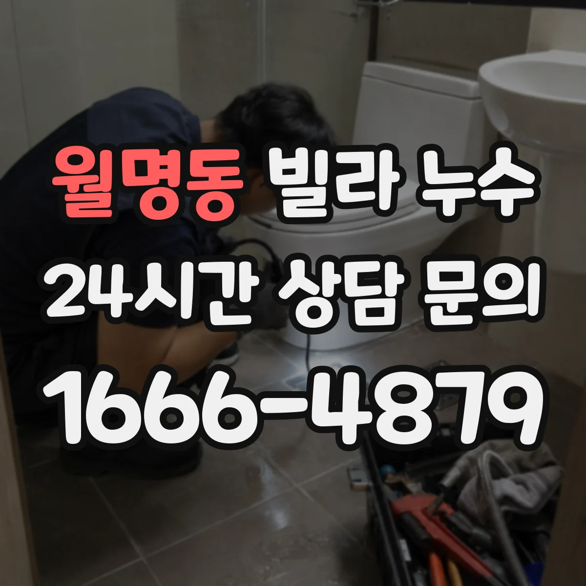 월명동 빌라 누수