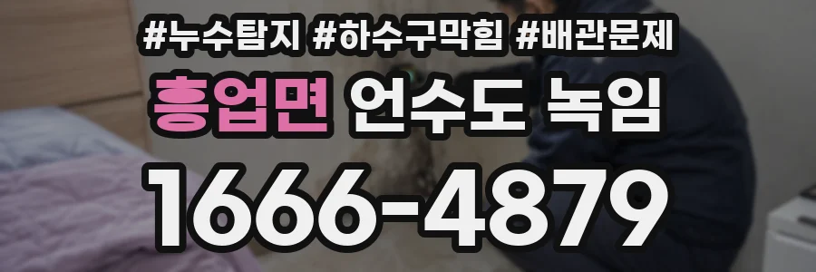 흥업면 언수도 녹임