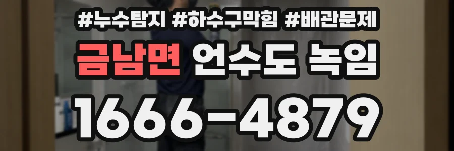 금남면 언수도 녹임