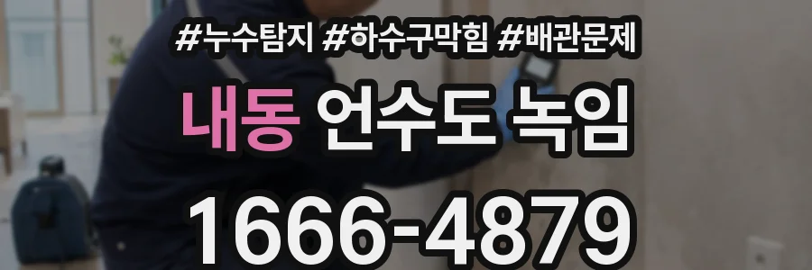 내동 언수도 녹임