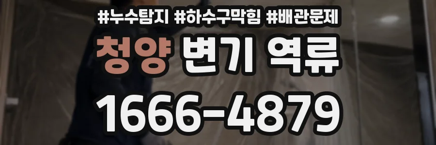 청양 변기 역류
