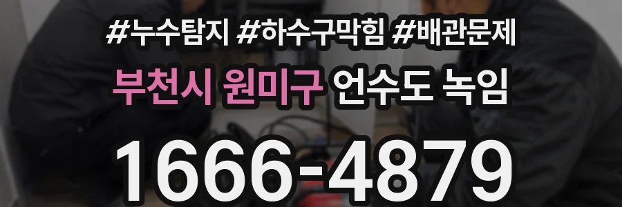 부천시 원미구 언수도 녹임
