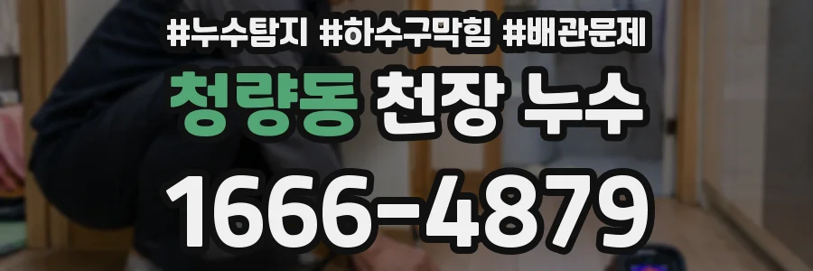 청량동 천장 누수