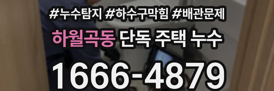 하월곡동 단독 주택 누수