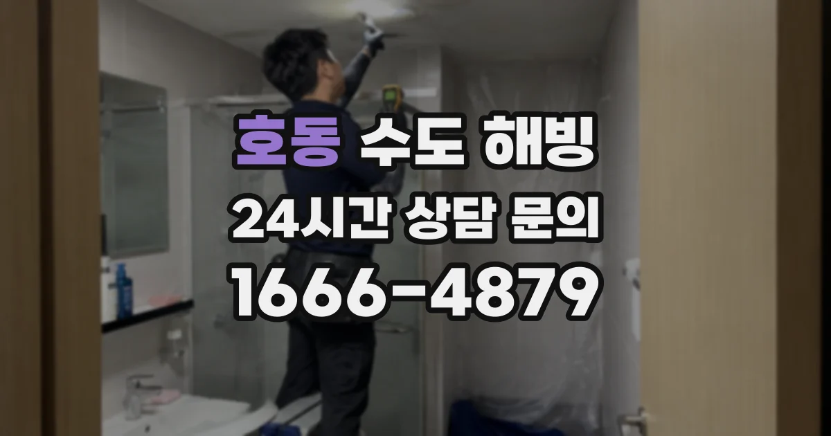 호동 수도 해빙