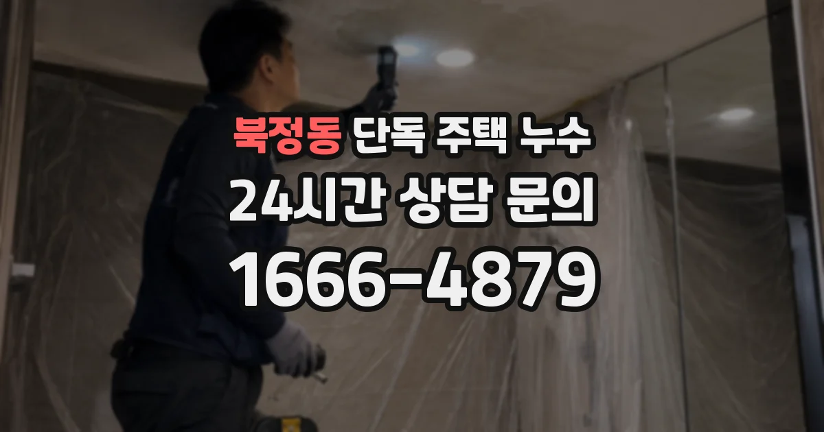 북정동 단독 주택 누수